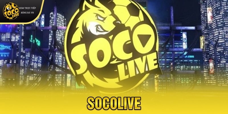Tìm hiểu chi tiết về nền tảng bóng đá Socolive hàng đầu thị trường